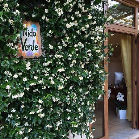 Nido Verde Agerola Exterior foto